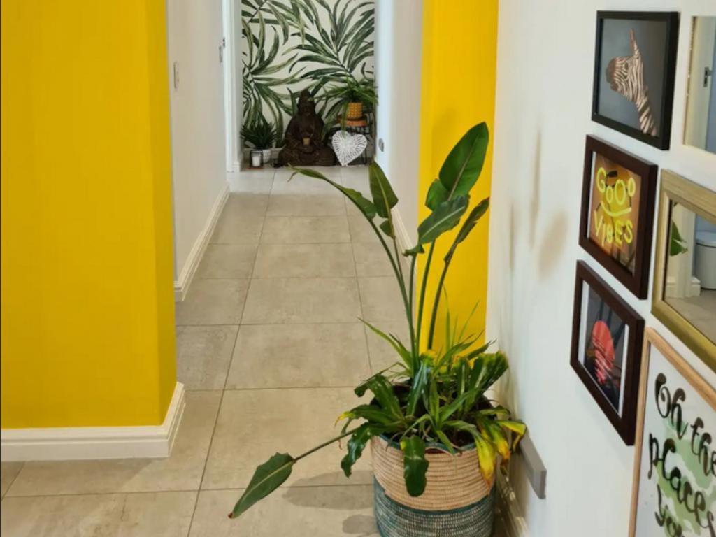 The Little Big Green House Hotel Muizenberg Quarto foto