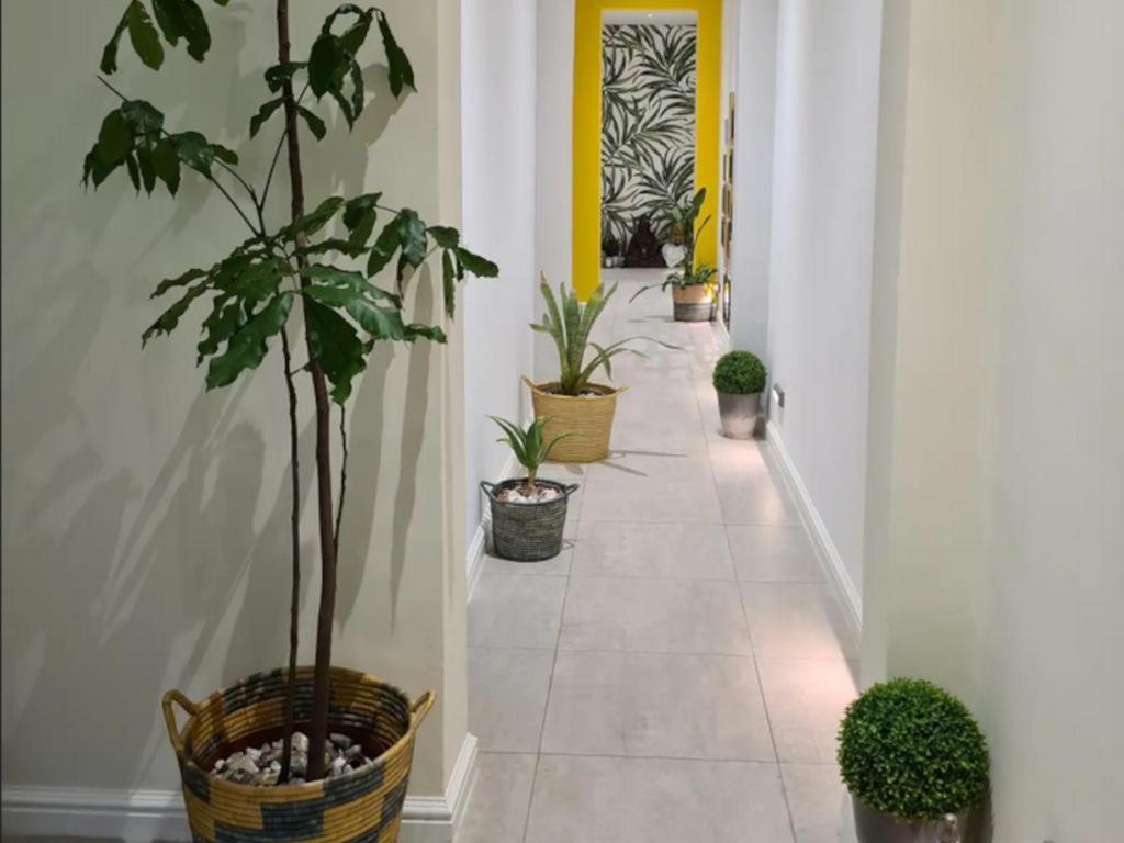 The Little Big Green House Hotel Muizenberg Quarto foto